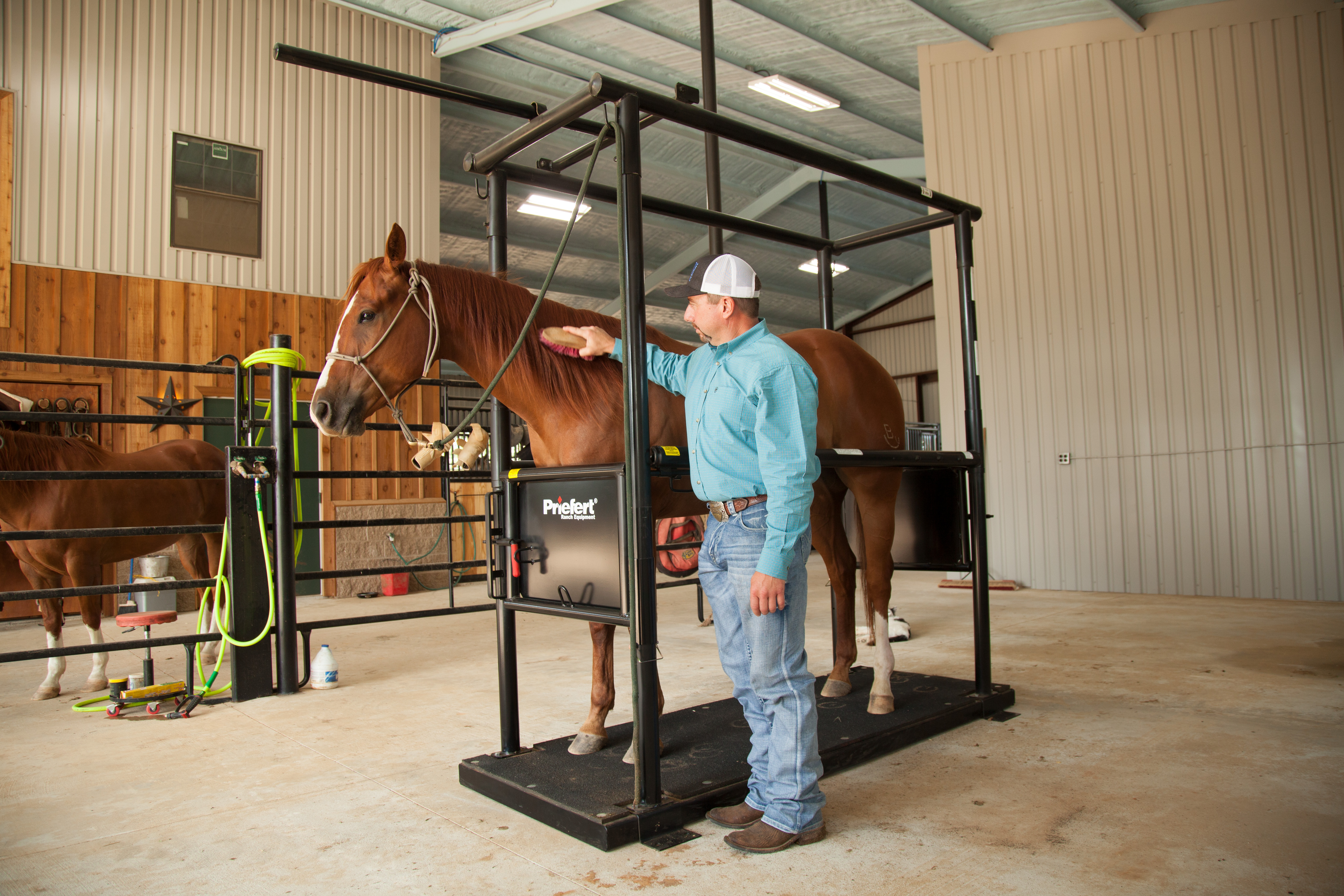 HS HorseStock Bynum 24.jpg